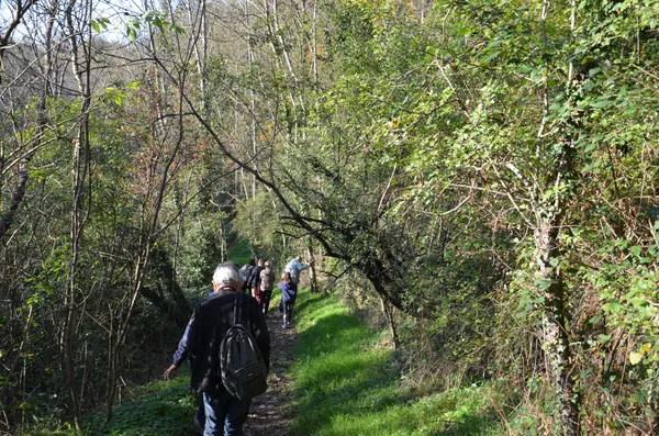 Mois de la rando : rando pédestre au profit du Téléthon