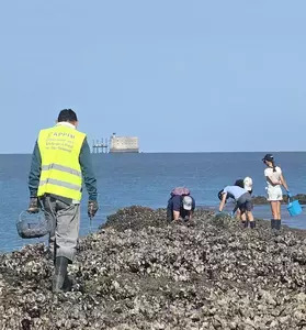 Média additionnel 2