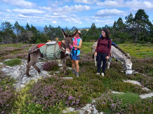 Balade avec des ânes et location ânes