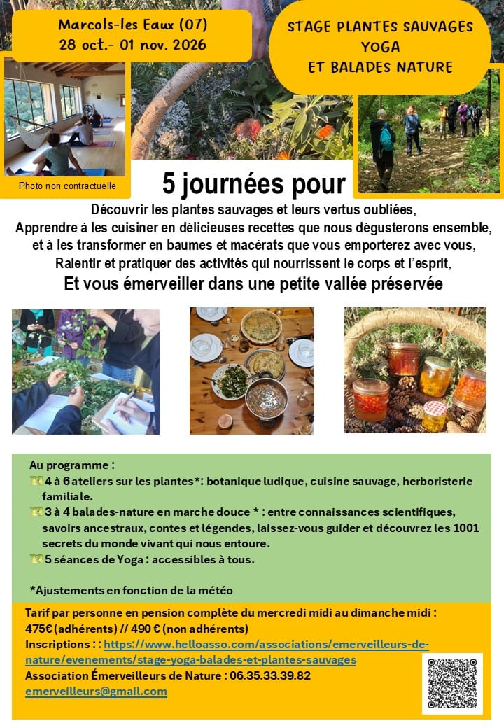 Stage "Yoga, balades nature et découverte des plantes sauvages" (5 jours)