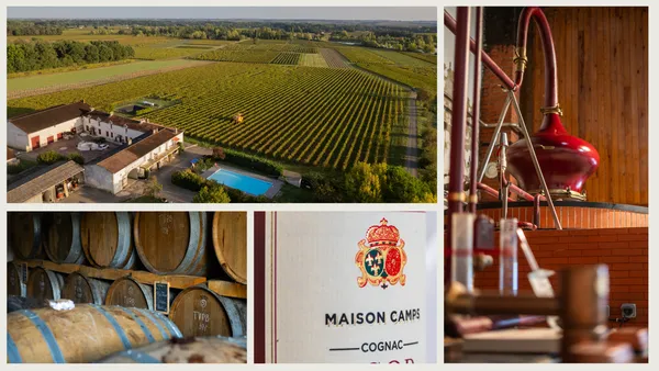 Visite Maison Camps - Pineau Cognac