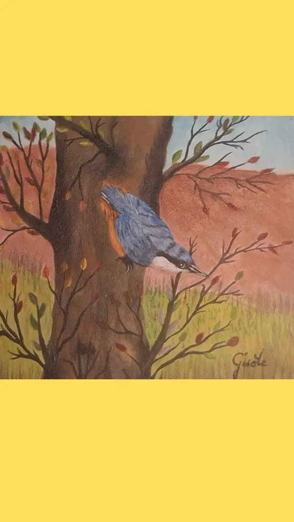 Exposition "biodiversité"
