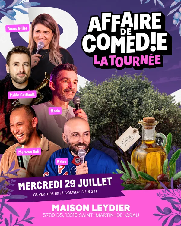 Affaire de Comédie