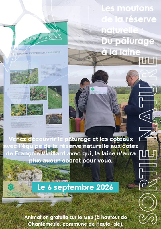 Média additionnel 1
