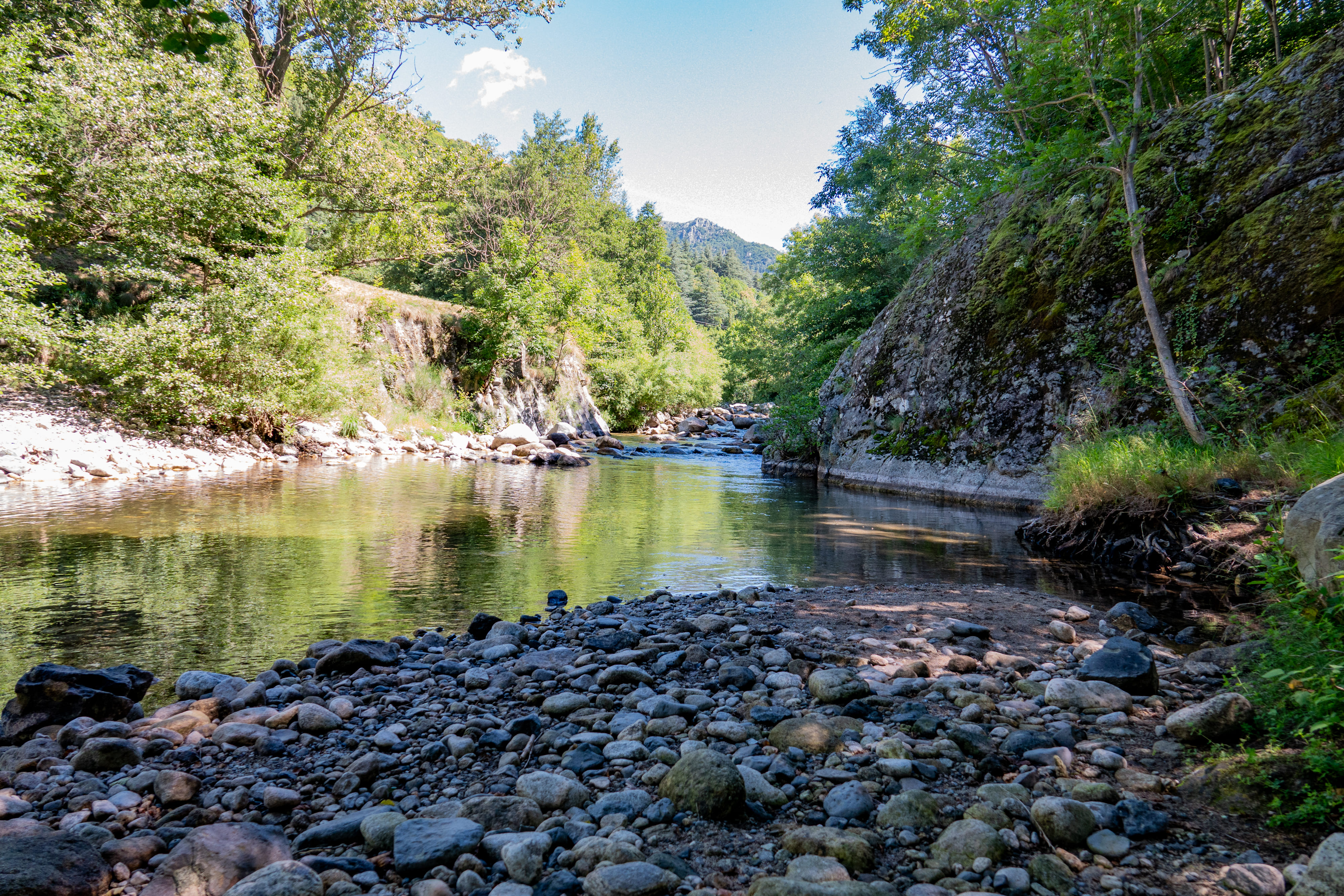 Balade pédagogique au fil de la rivière