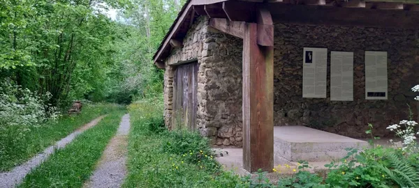 Média additionnel 7