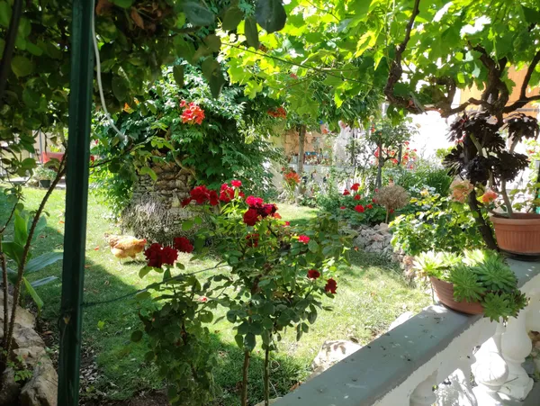 Concours des maisons fleuries