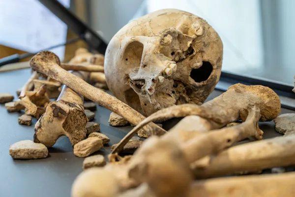 Table ronde à l'Aven d'Orgnac : Regard(s) sur la mort de la Préhistoire à aujourd'hui