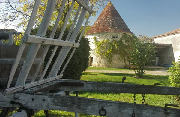 Cognac Pinard & Fils - Visite du domaine de la Tour Vert