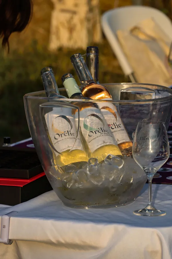 Soirée Orélie dans les Vignes