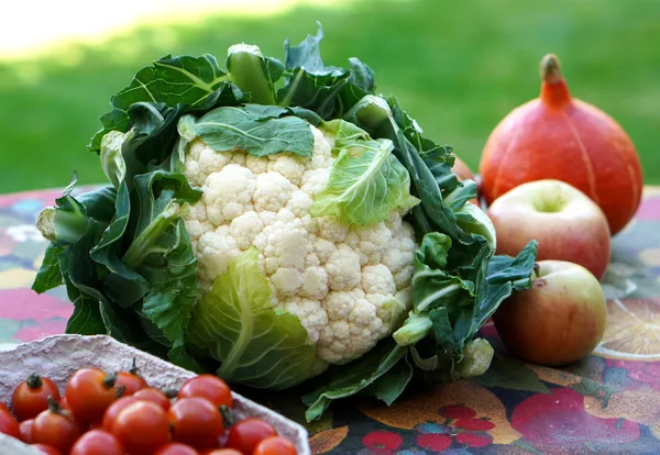 Marché de producteurs et artisans locaux
