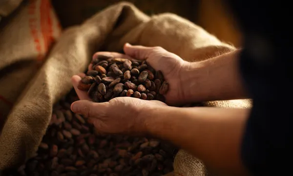 Atelier Chocolat en Terre d’Ardèche - Songes et Cacao