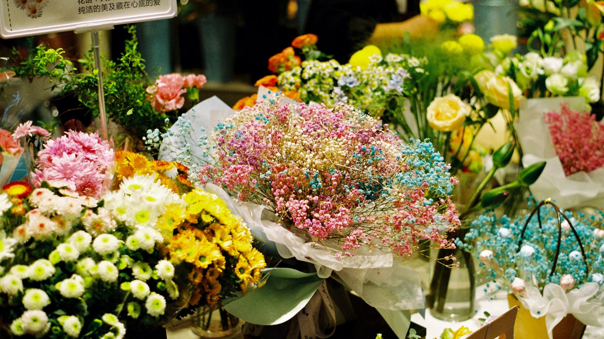 Marché aux fleurs et plants de légumes