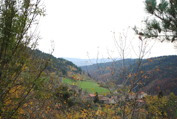 Mois de la rando : Randonnée nature Saint-André-de-Chalencon
