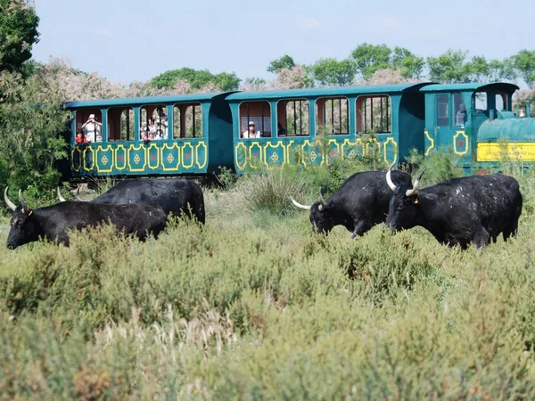 Le Petit train de Méjanes