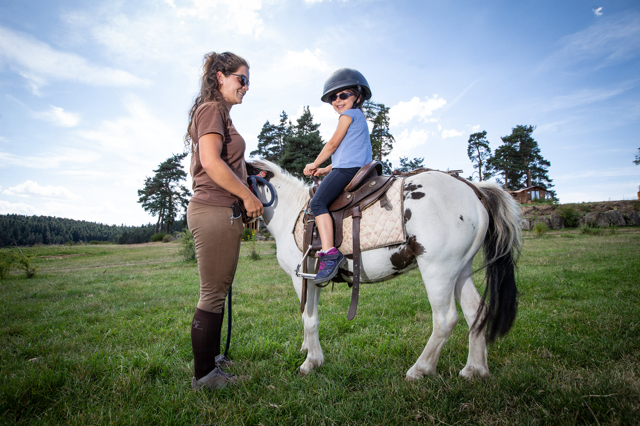 baby poneys