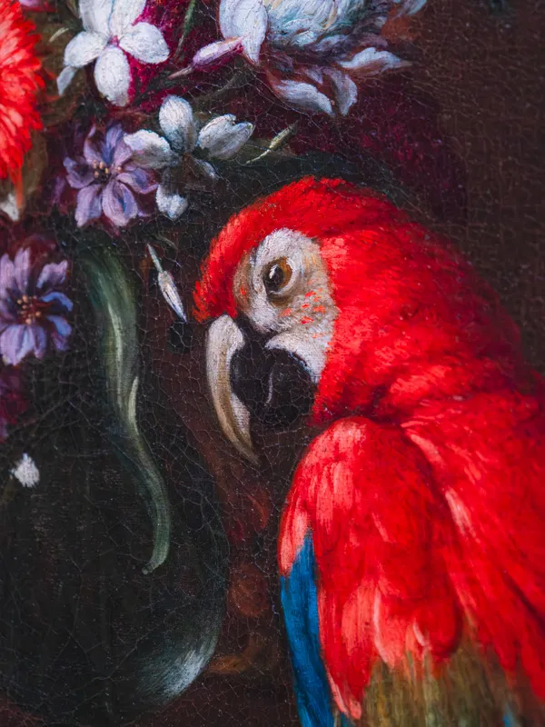 Visite éveil "Gaio, le perroquet haut en couleurs"