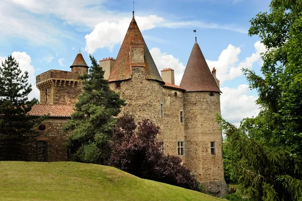 Visite du château de Lespinasse