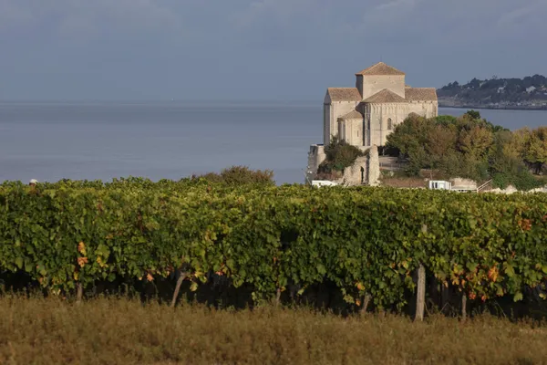Visite du domaine viticole - Les Hauts de Talmont