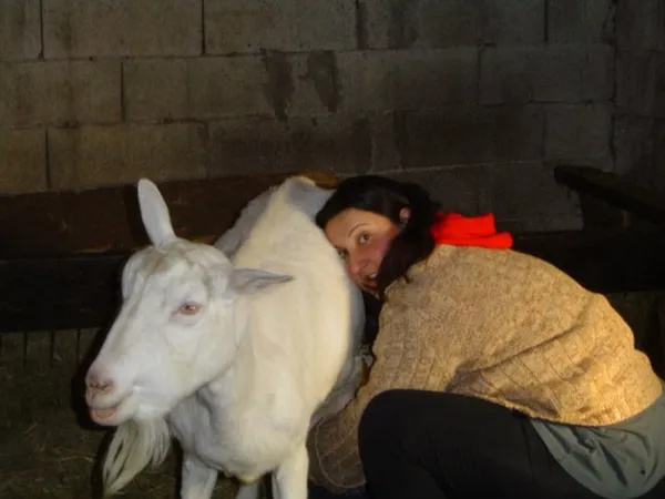 Visite ferme de chèvres de Fanny Montoya