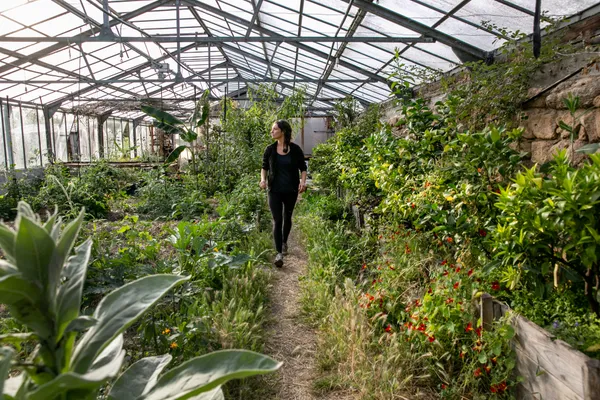 Visite guidée des jardins de Terre & Humanisme