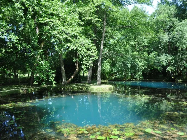 Visite du jardin remarquable "Les Fontaines Bleues"