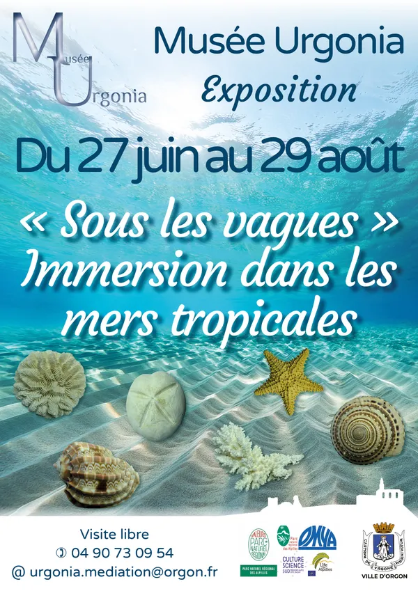 Exposition « Sous les vagues » - Immersion dans les mers tropicales