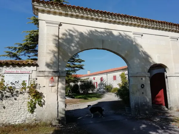Média additionnel 1