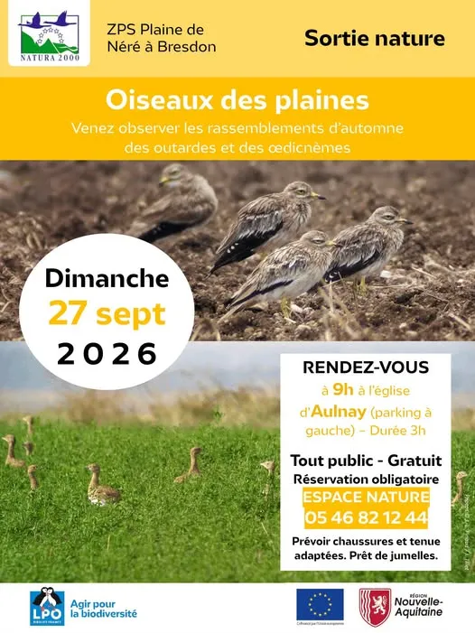Découverte Oiseaux des plaines