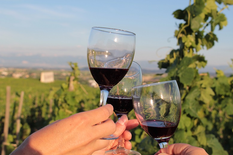 Apéro-vignes au domaine de Gouye