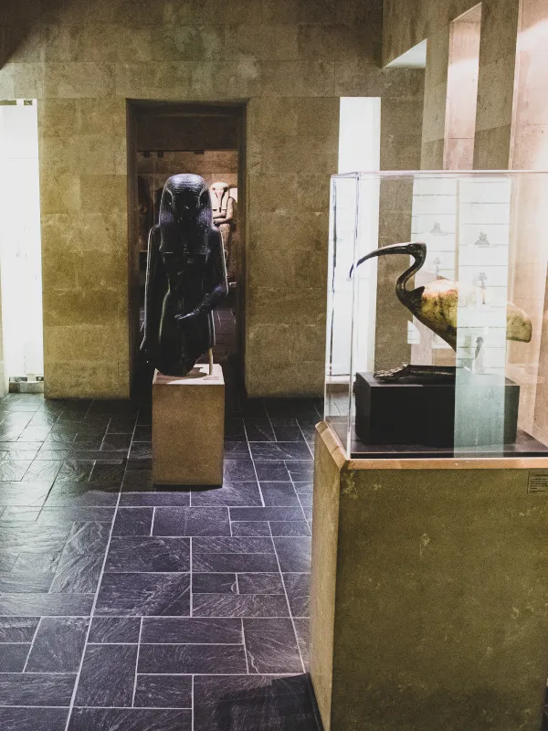 Collections permanentes du Musée d'Archéologie Méditerranéenne