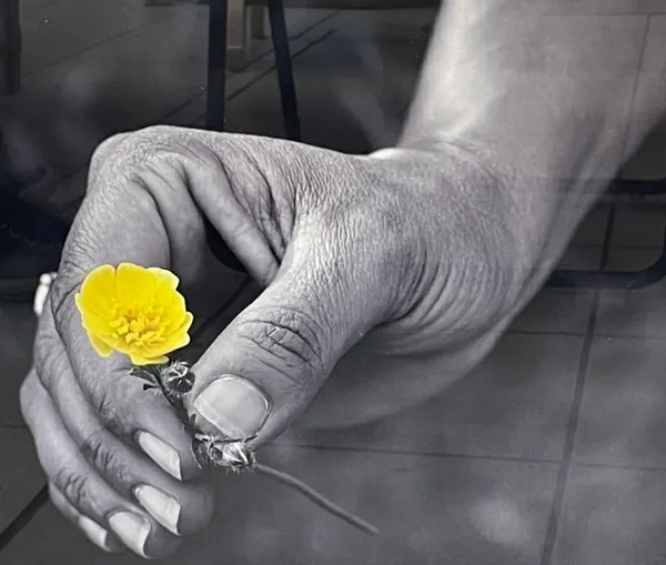 Exposition photos - Les Mains de Lydie Tanski