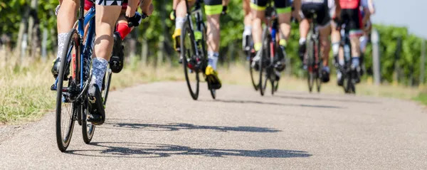 Châtel à vélo - club de cyclisme de Châtelaillon-Plage