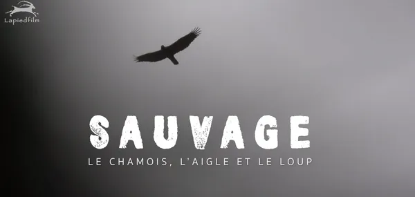 Projection LAPIED "SAUVAGE - Le Chamois, l'Aigle et le Loup " | Cinéma de montagne