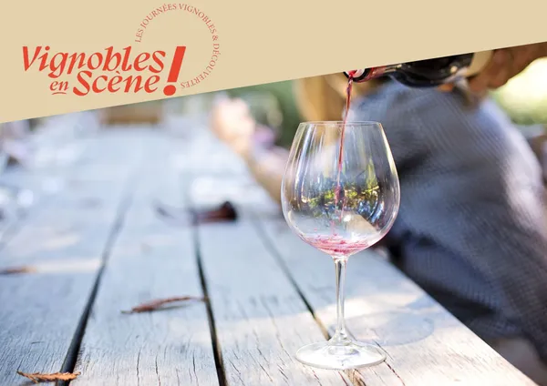 Atelier découverte - Accords mets & vins
