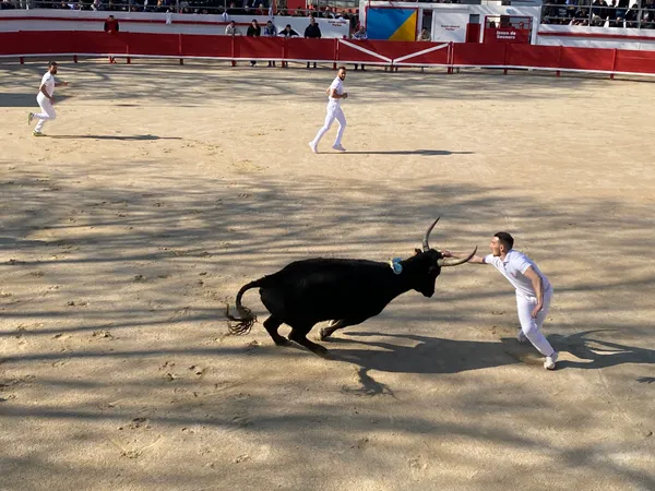 Fête votive d'Aimargues