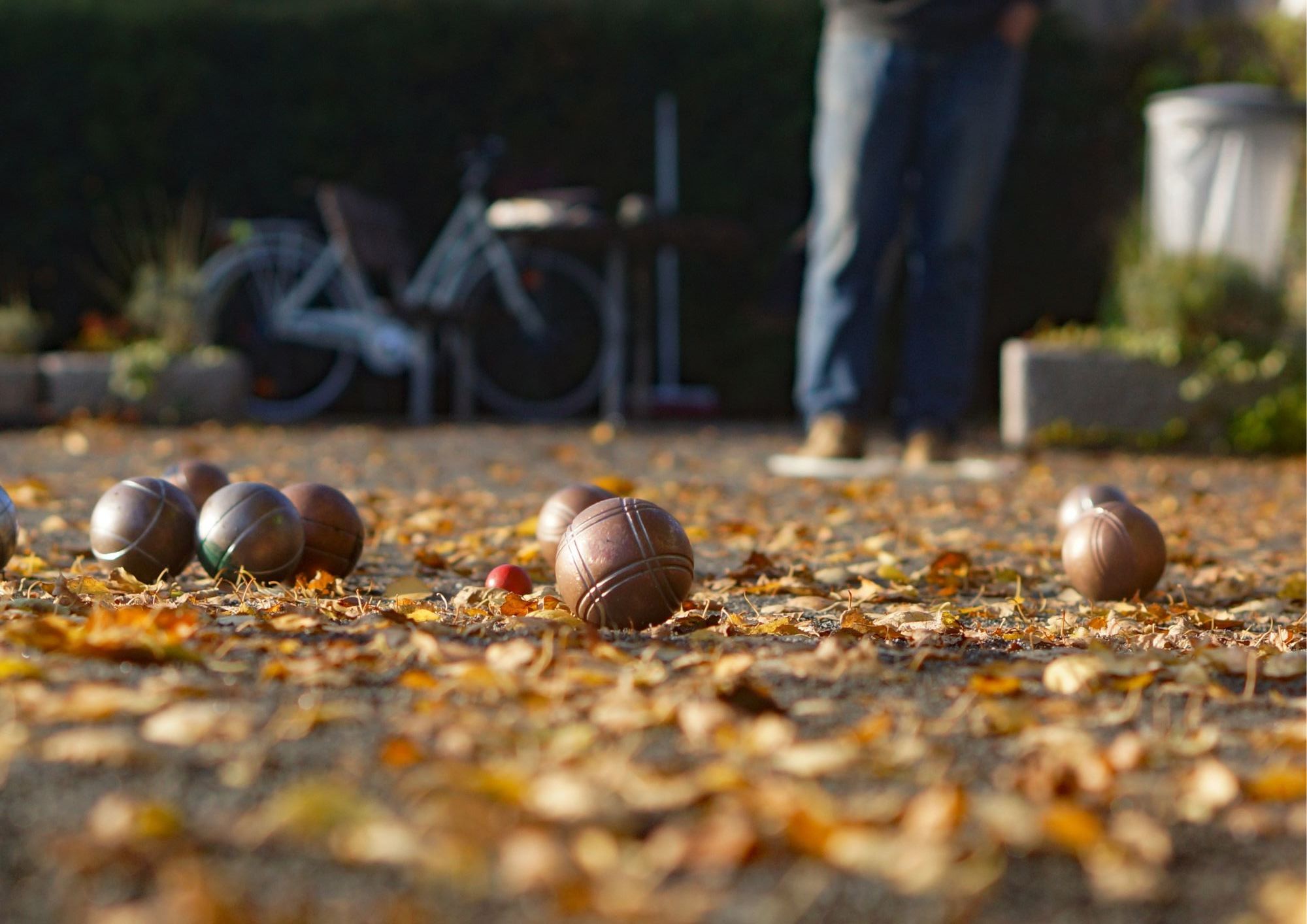 Concours de pétanque  - Bal