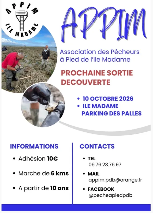 Sortie pêche à pied