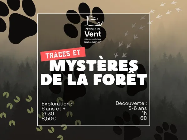 Traces & mystères de la forêt - Exploration