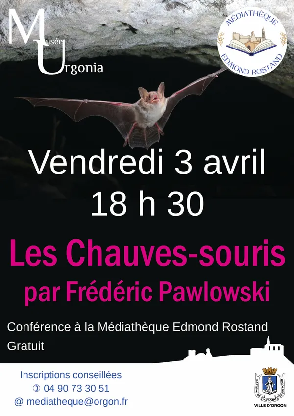 Conférence "Les chauves-souris"