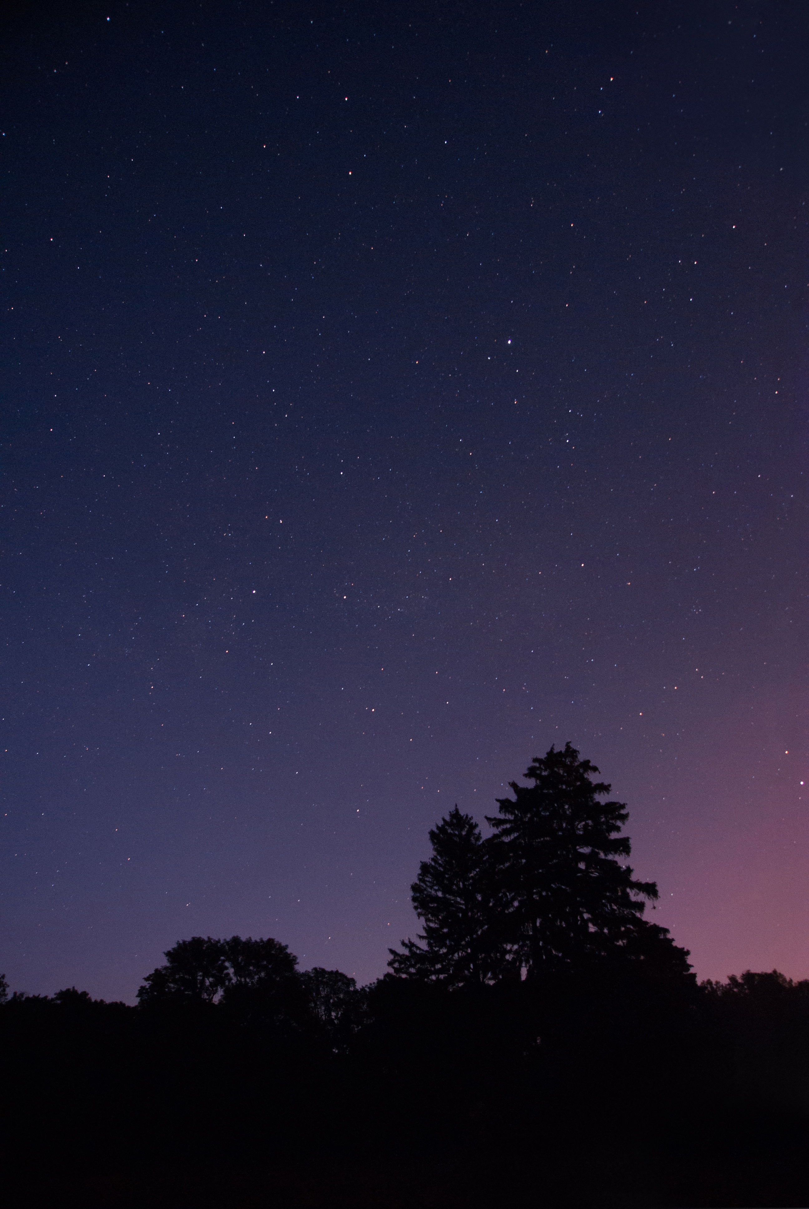Rencontres Astronomiques du Printemps : Observation pour les habitants