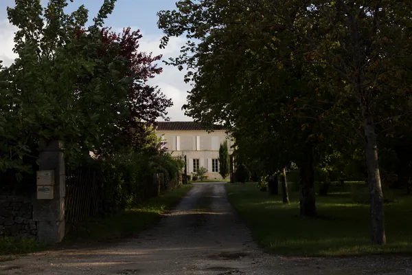 Au cœur des Borderies, terre de Cognac | Visite du Domaine Giboin