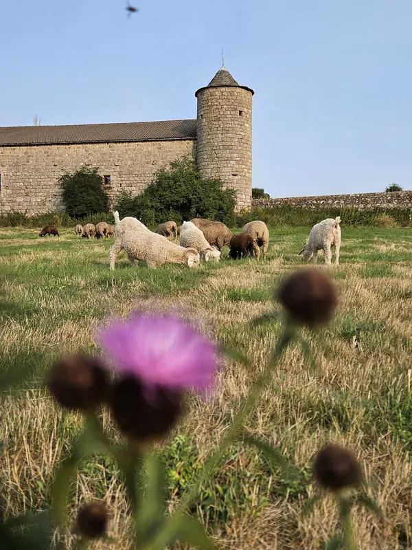 Visite de l'Echo-domaine du château du Mazel