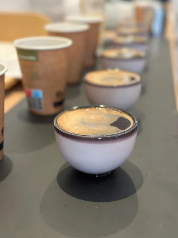 L'Automnal gourmand - Découverte du cupping café