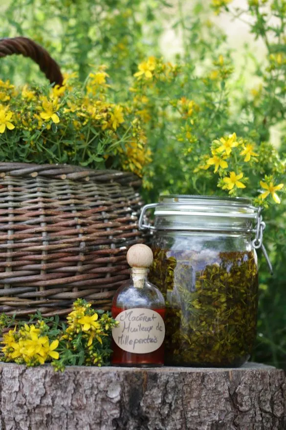Semaine gourmande : Journée dégustation "plantes"
