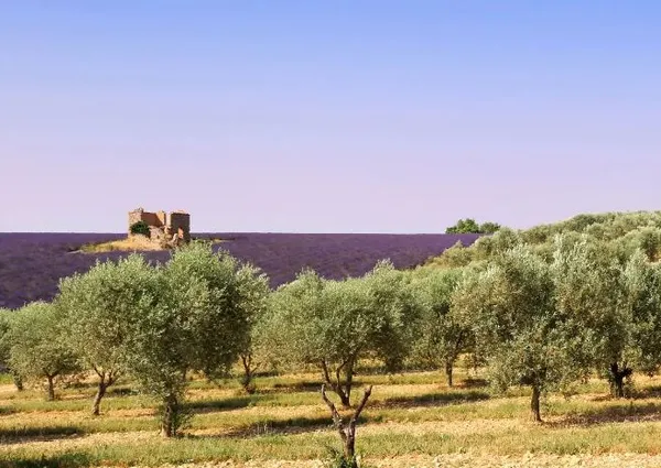 Soirée Théatre : Parfum de Provence
