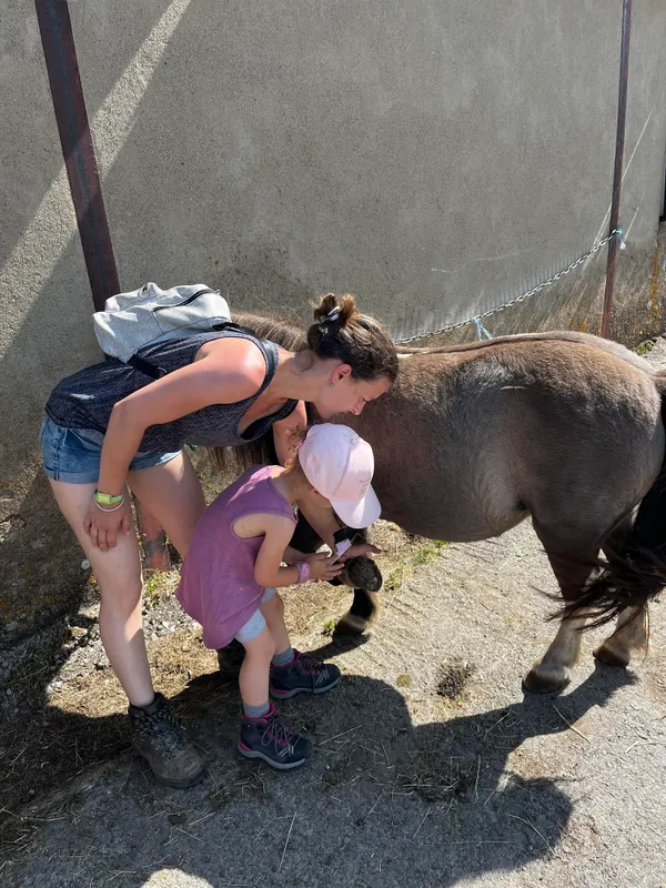 Petit soigneur de poneys