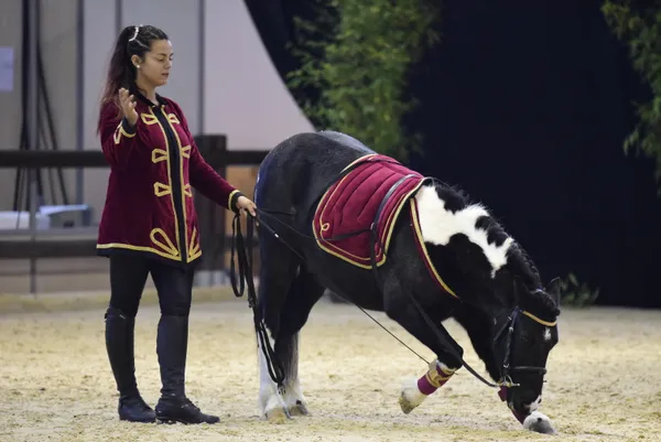 Equita Lyon