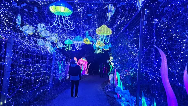 6ème Festival Lumières Sauvages au Safari de Peaugres