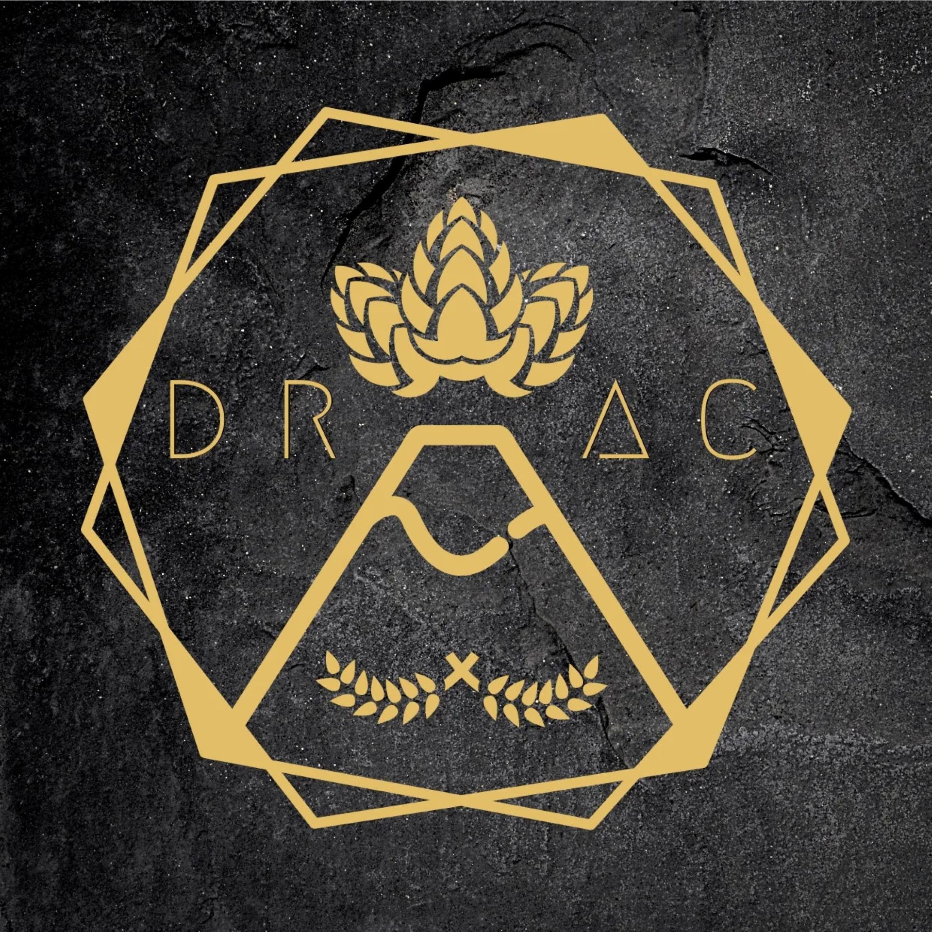 Apéro Zics à la DRAC